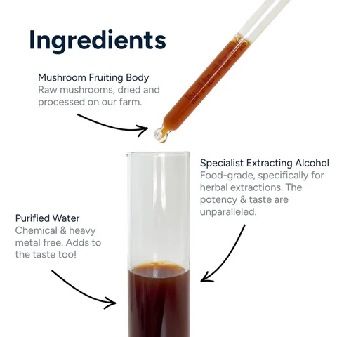 Dr Mushrooms tincture ingredients — Mushroom Fruiting Body, Specialist Extracting Alcohol, and Purified Water